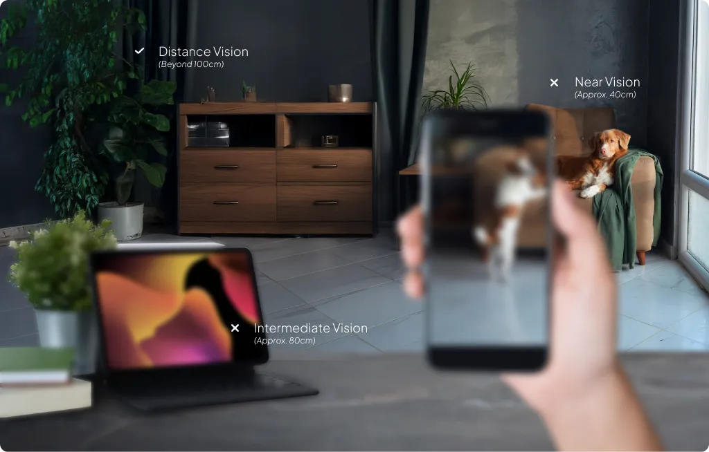 monofocal vision sample